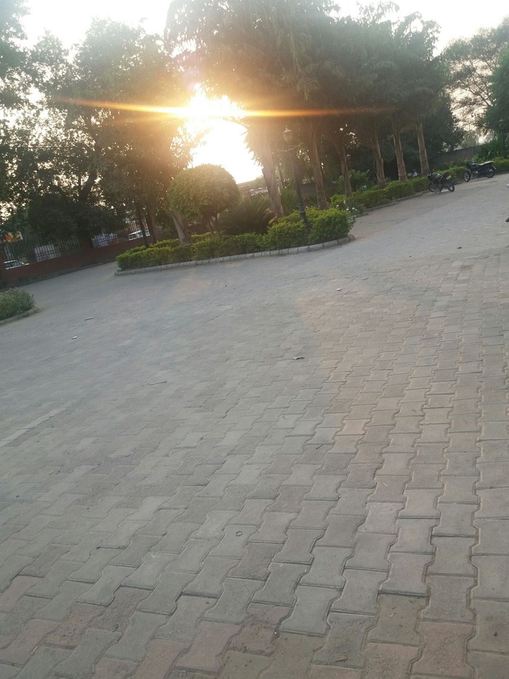 good evening