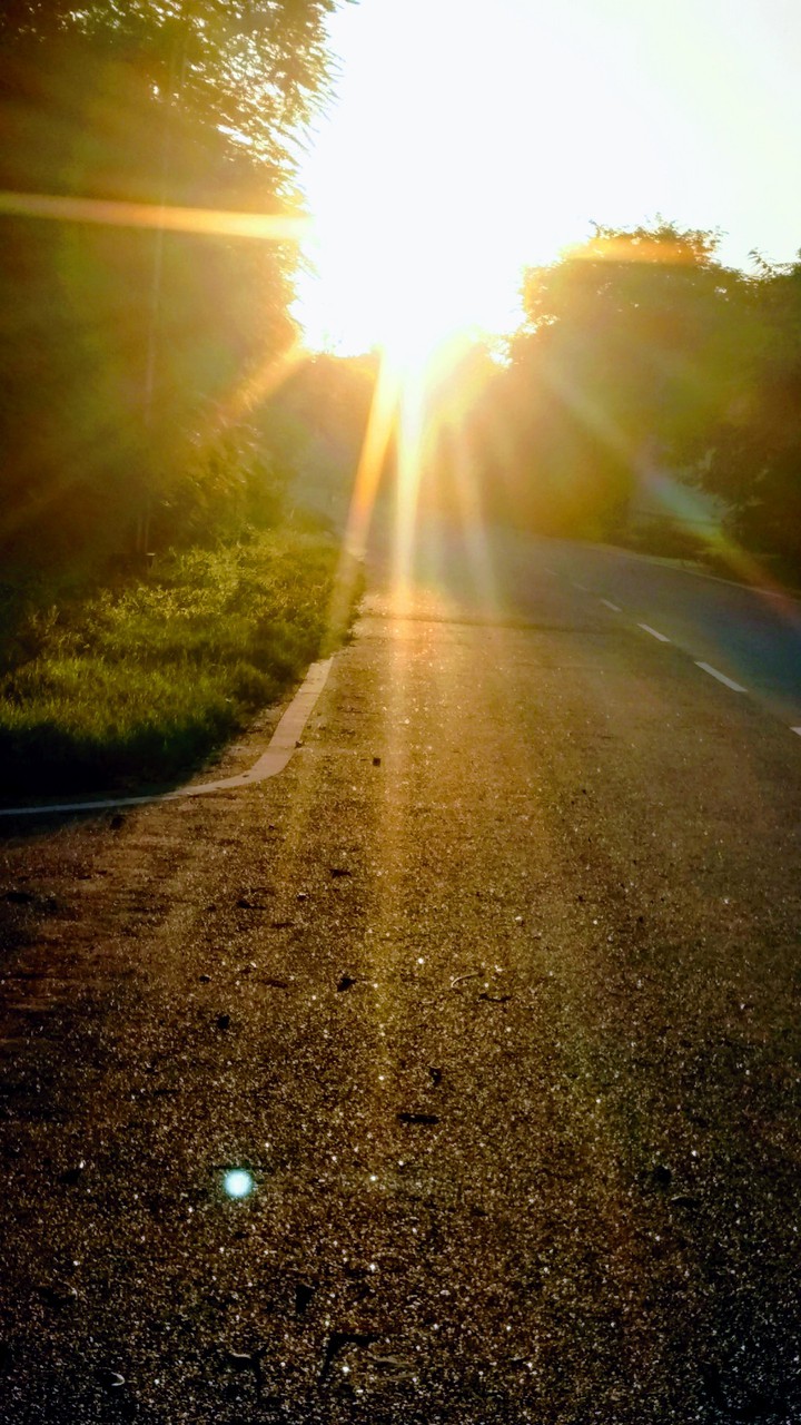 stylish photo sunlight