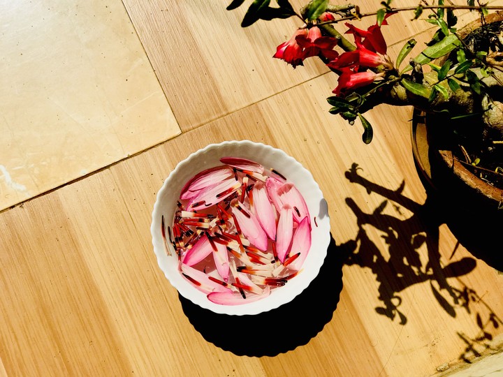 petals of pink