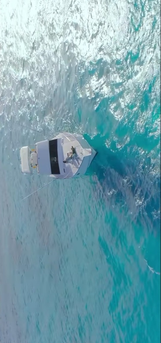 ⛵