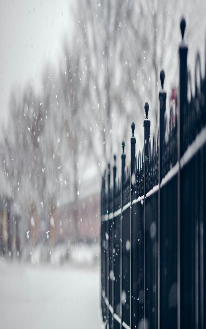 Snowy Fence