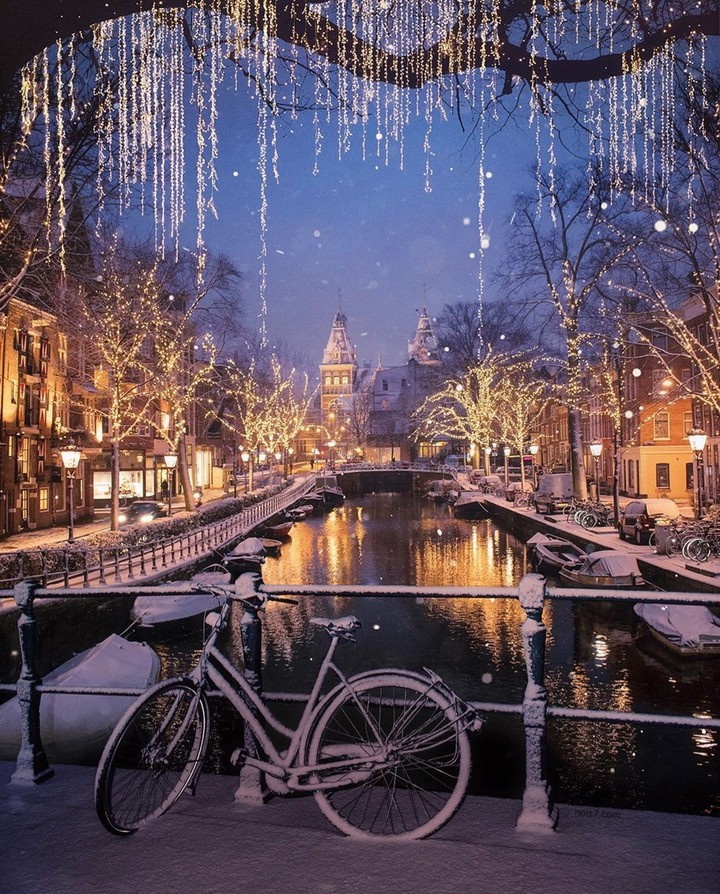 °•✦•°✽♡°•✦•°♡✽°•✦•°✽♡°•✦•°