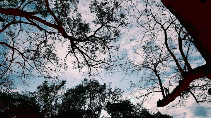 blue sky 