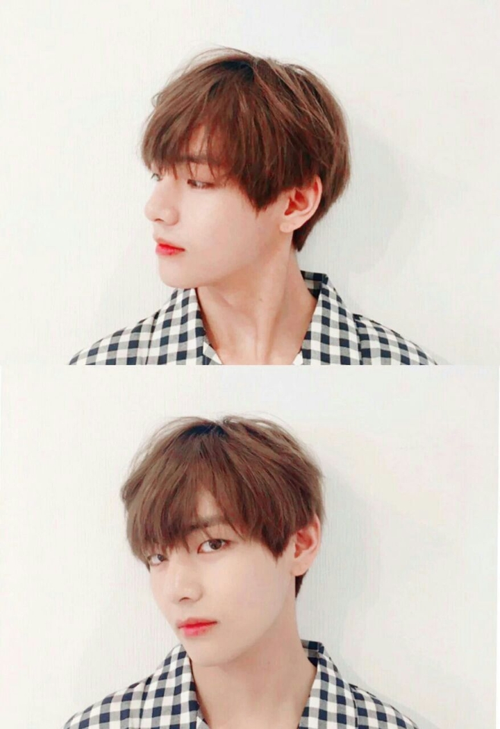 V - BTS
