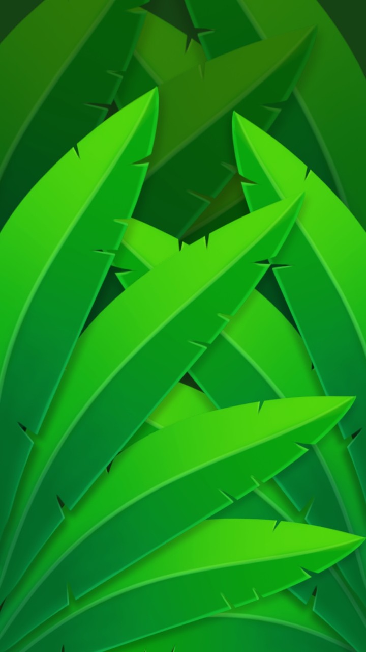 leaves