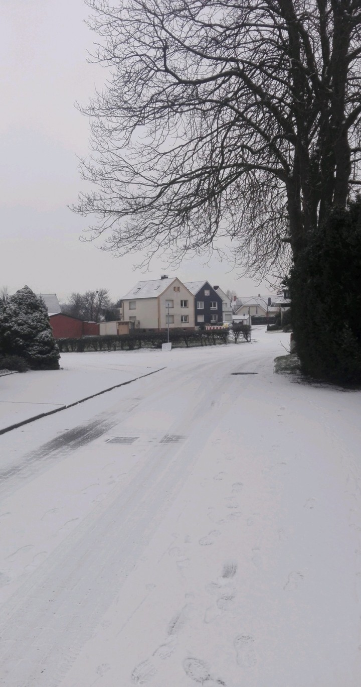 Homes Road