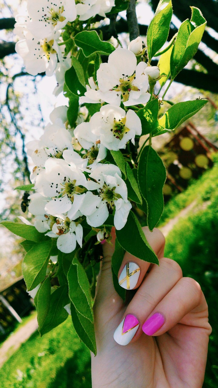 Spring