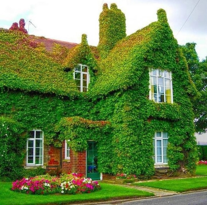 Green house