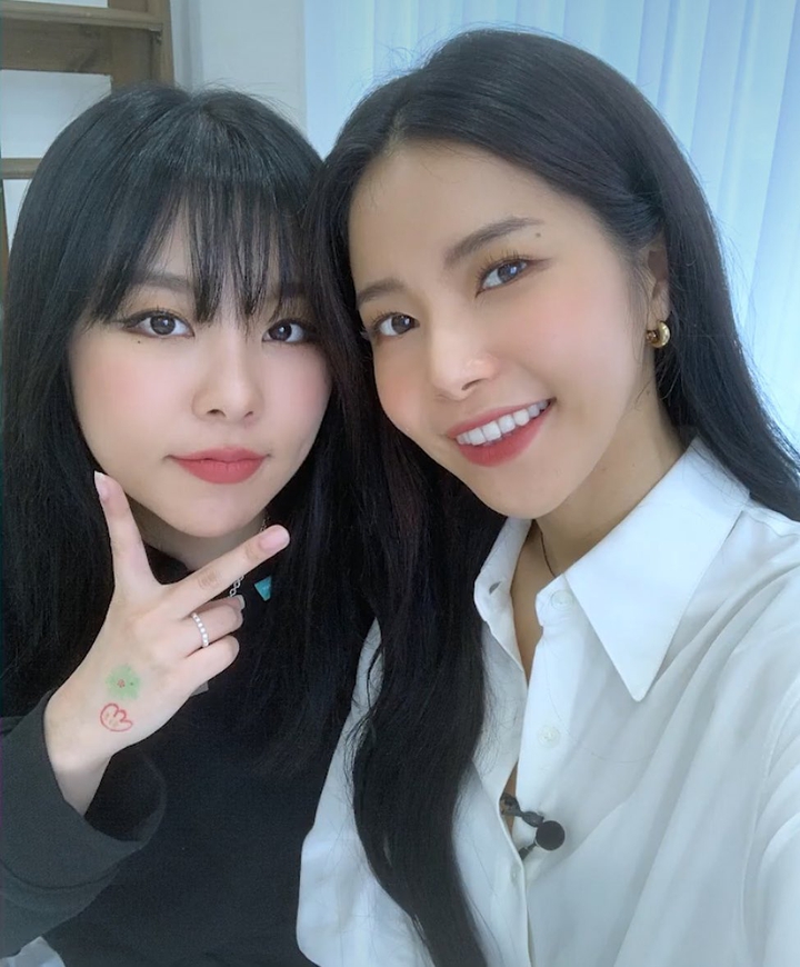 solar wheein