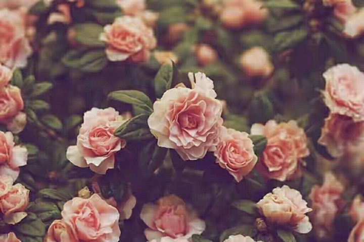 ♥