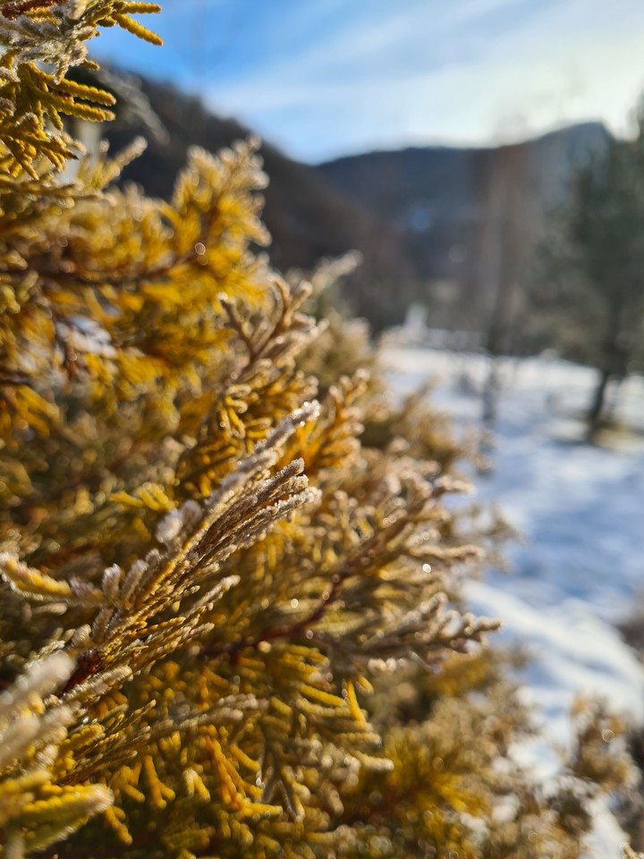 winter collection