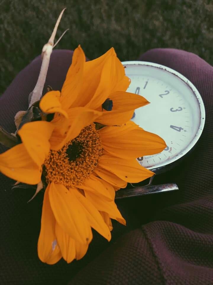 time flowers