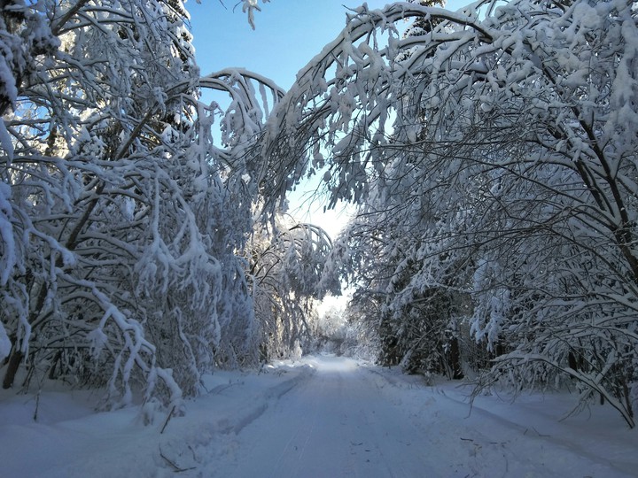 frosty winter, -20'C