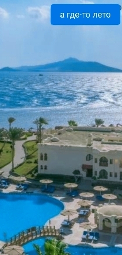 רקעים tropics, holiday