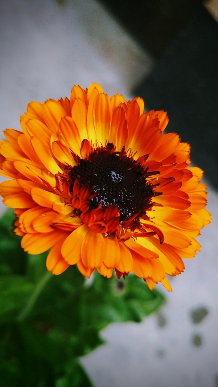 my own photography