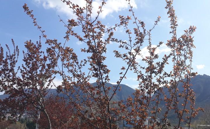 sky mountains