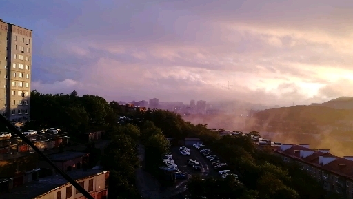 красота