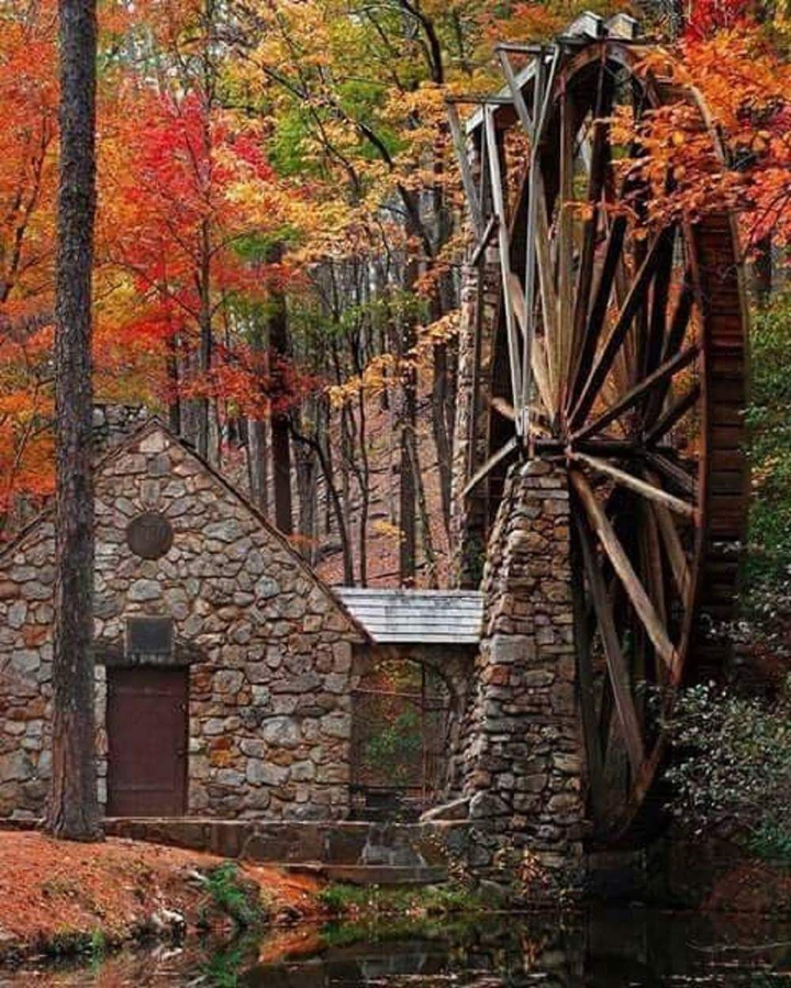old watermill in the woods