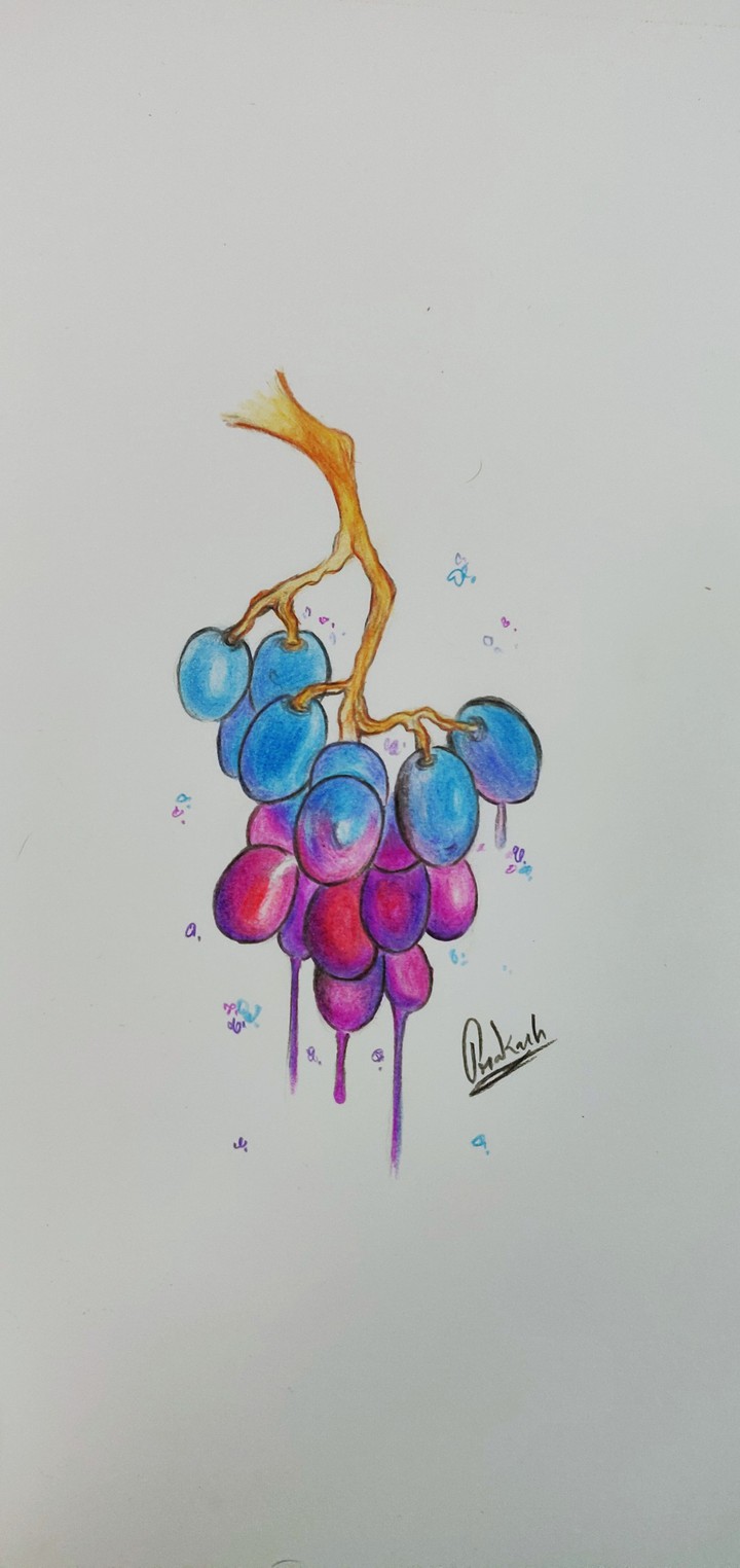 grapes art