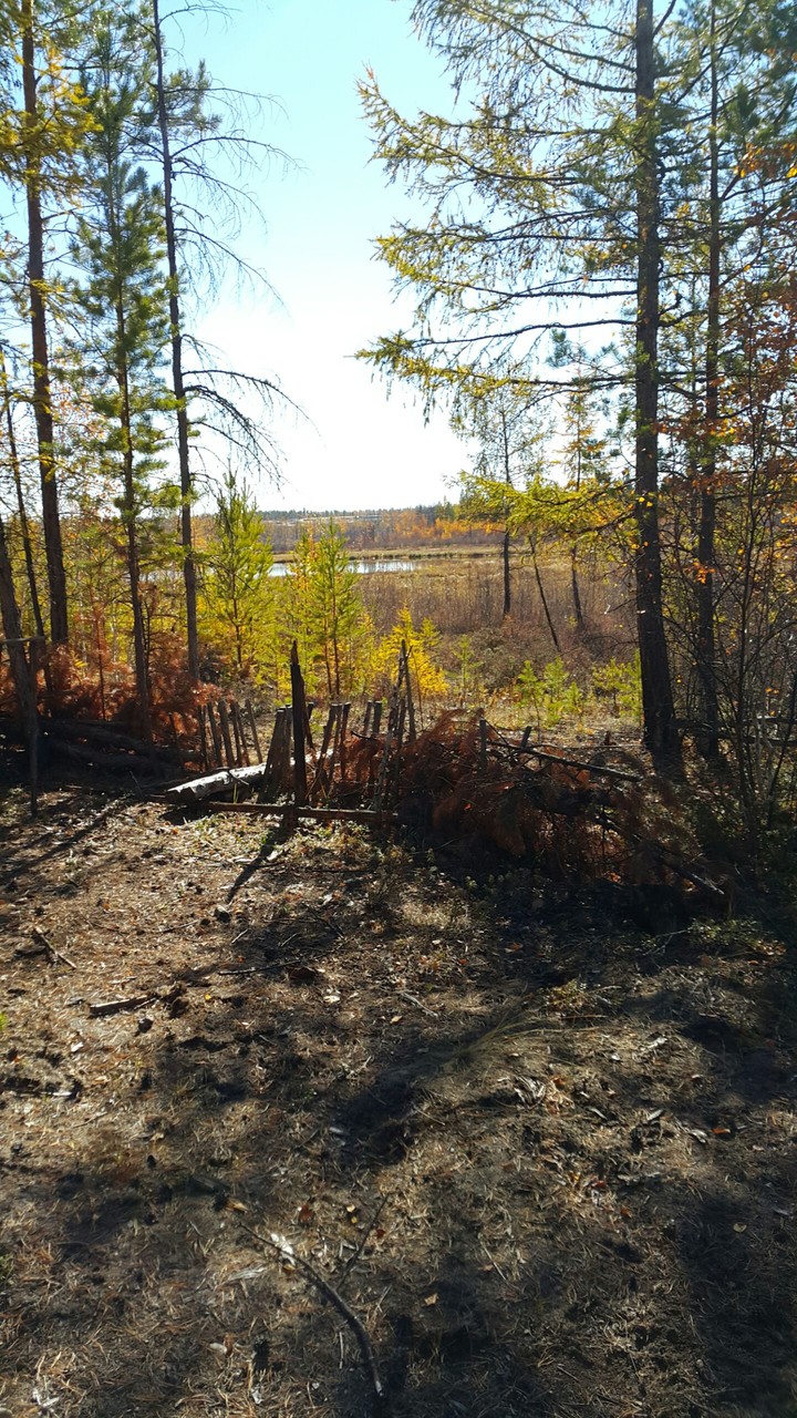 nature
