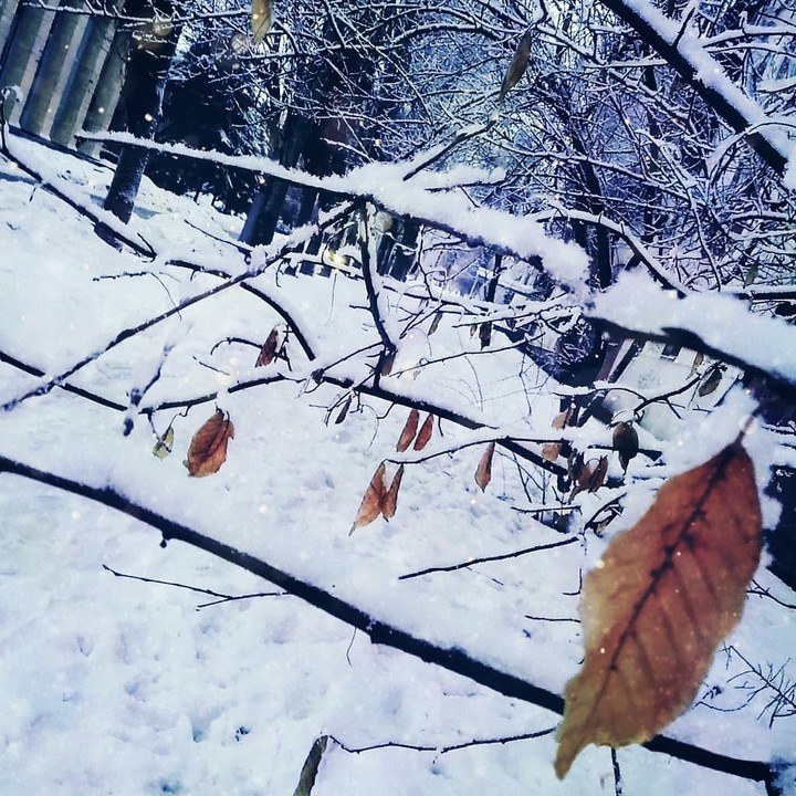 Winter...