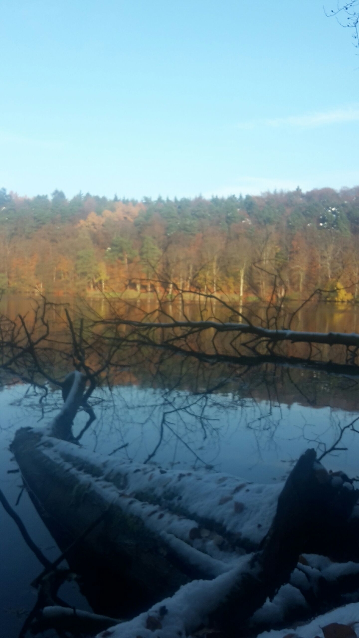 autumm 