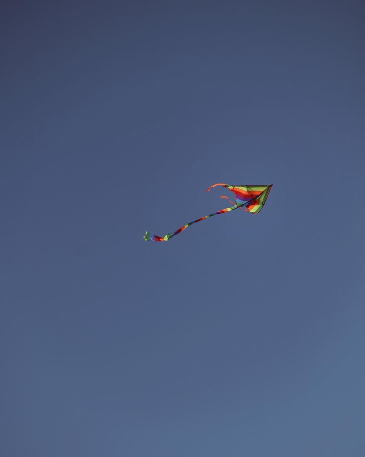 kite
