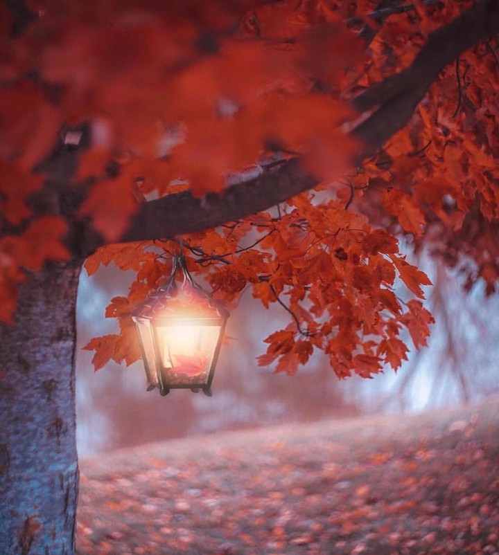 autumn