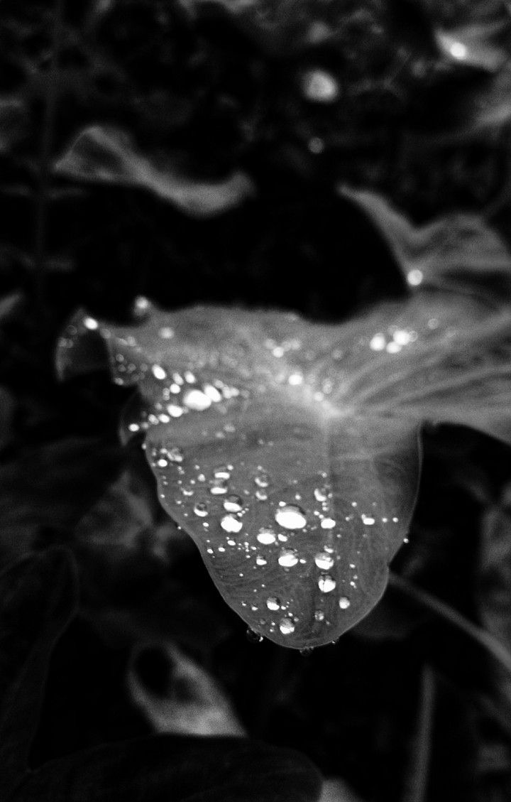 drops like a diamond