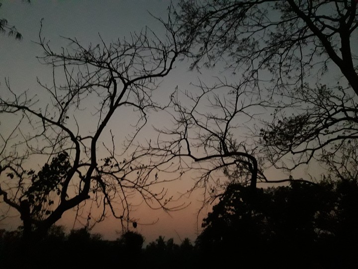 Evening picture