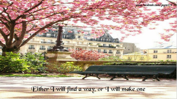 Quotes