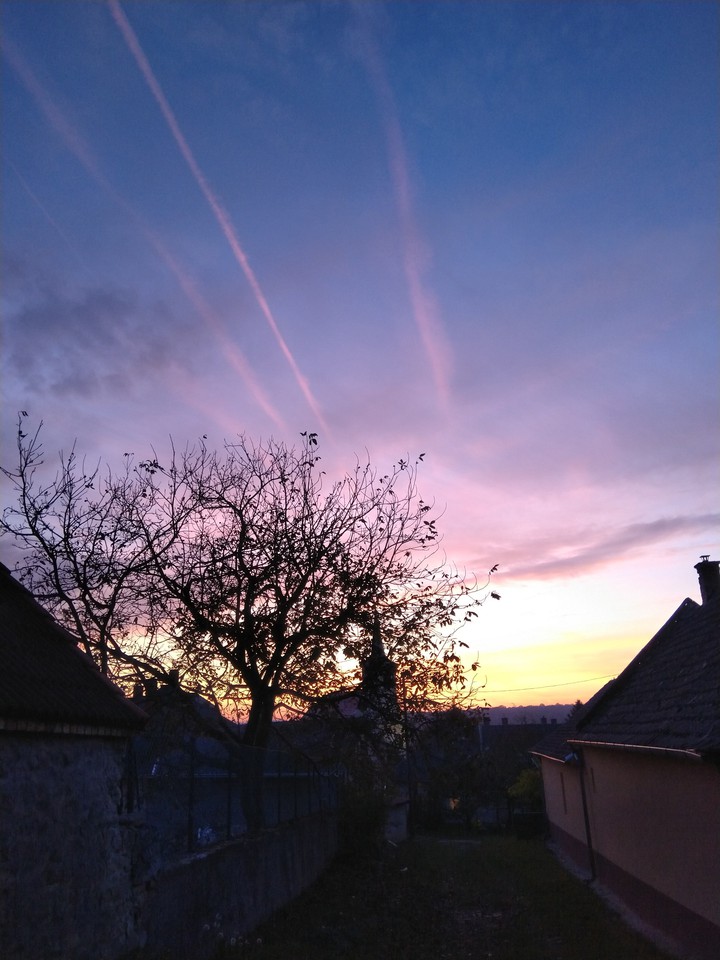 autumn dawn