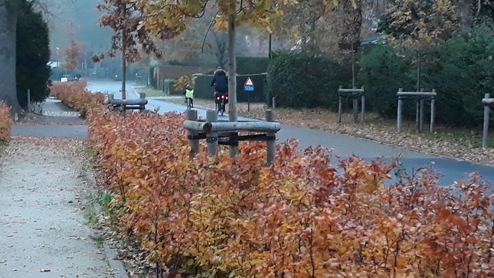 autumn