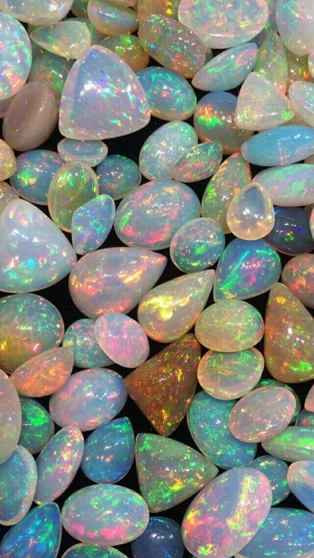 ✨
