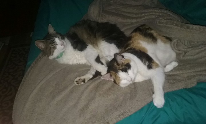 Kirby & Tiki