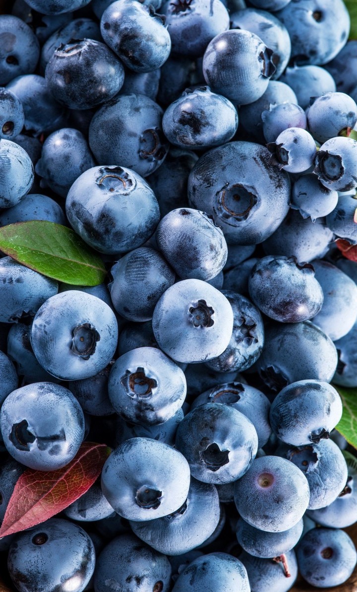 BLUEBERRIES