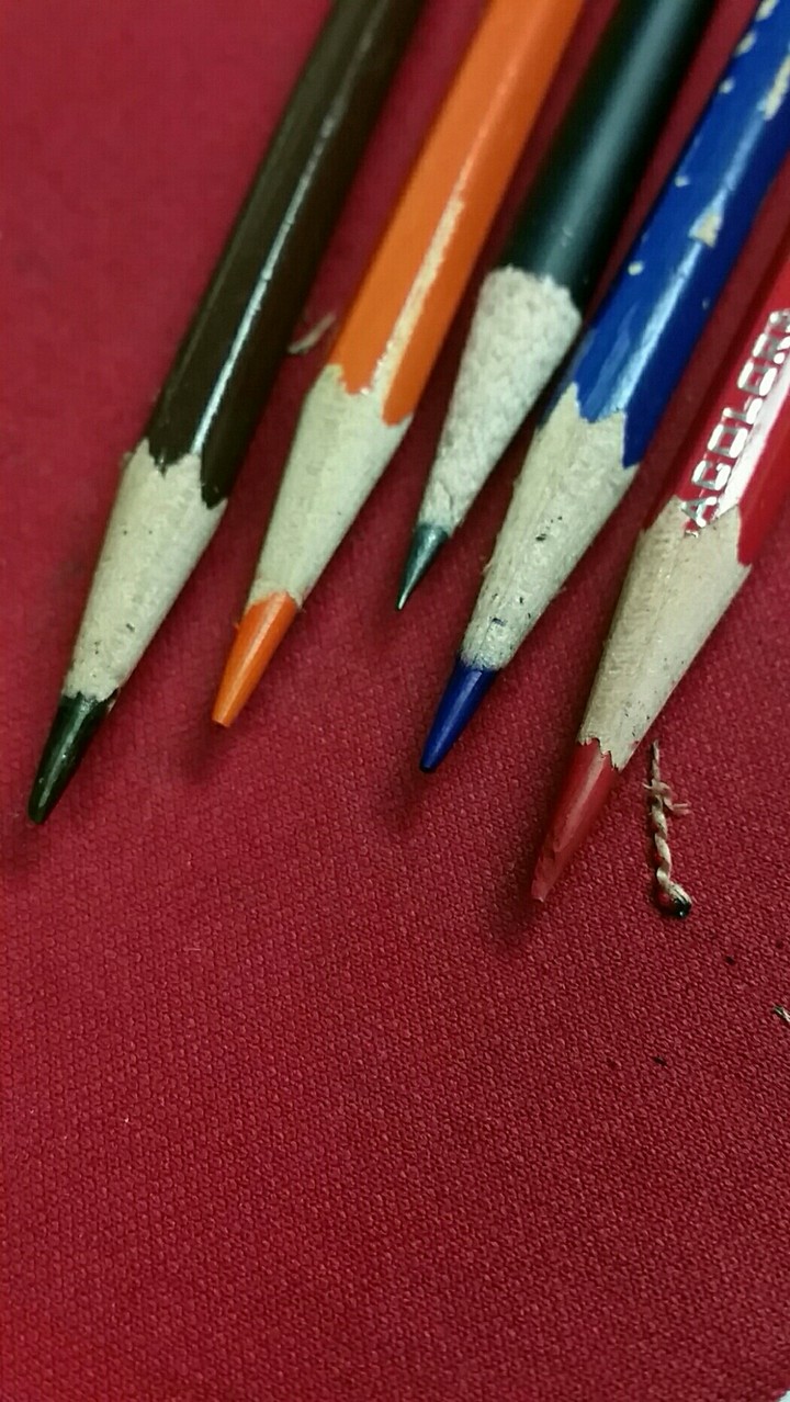 color pencils and pencil