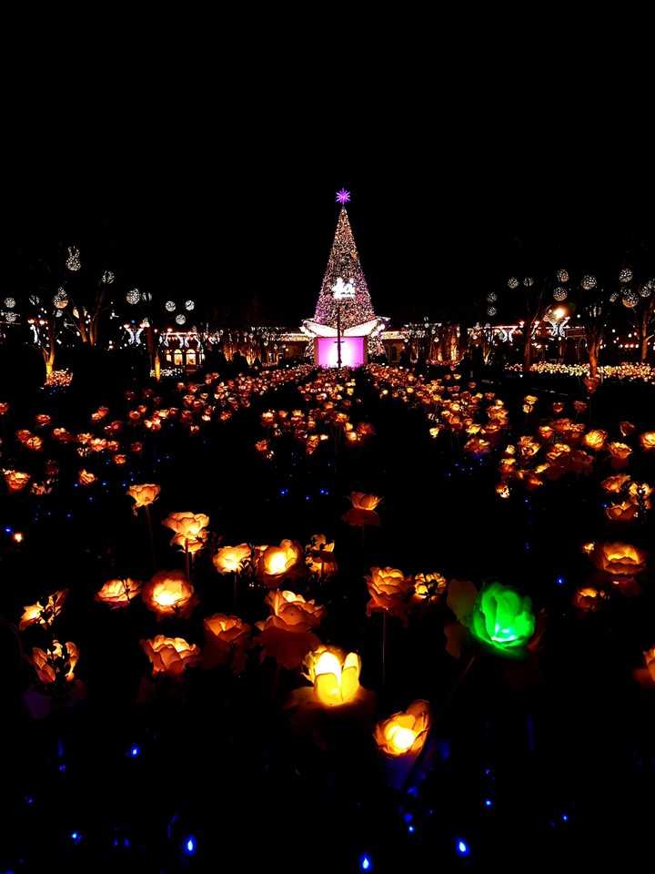 Everland At Night