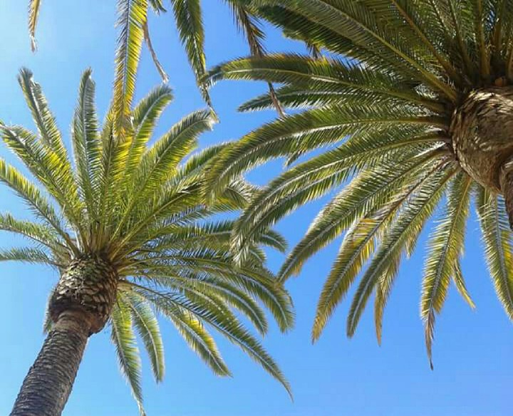 California