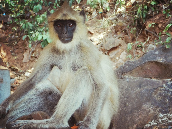 India