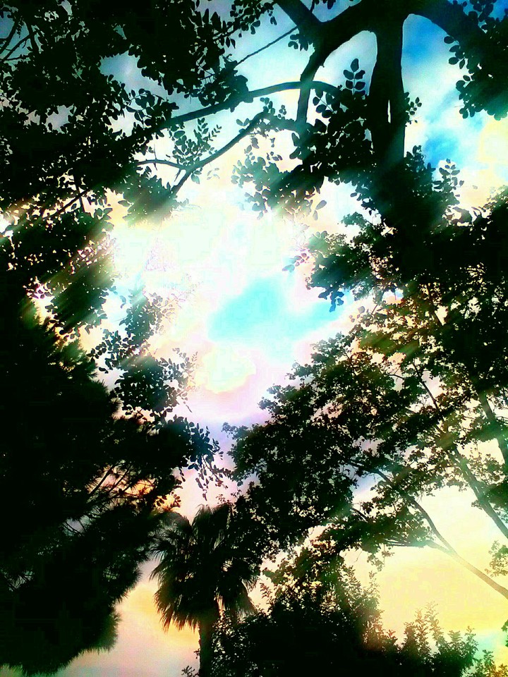 blue sky