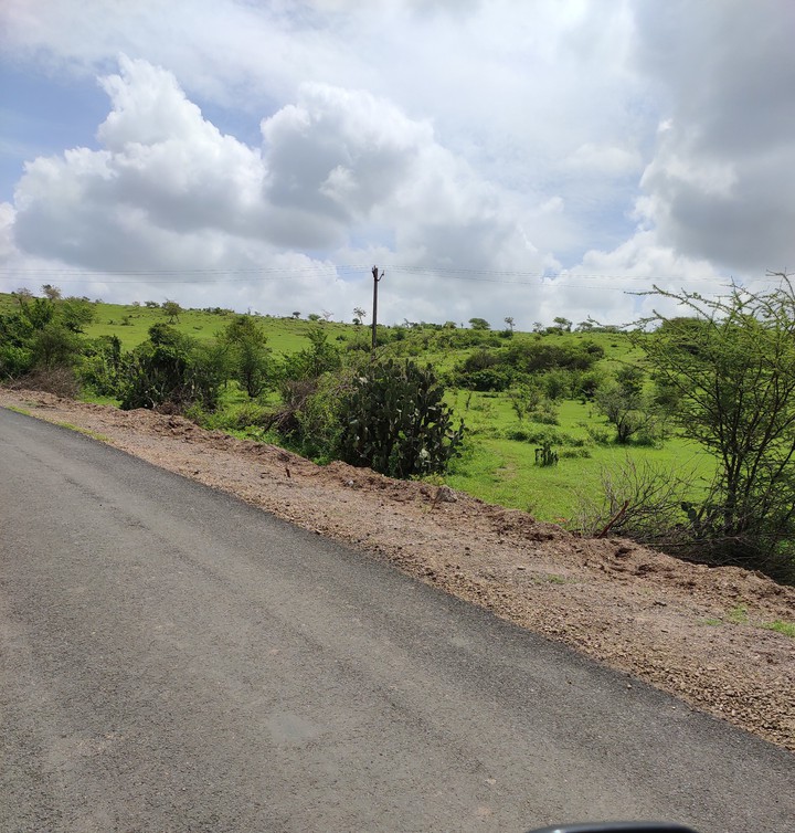 Green field
