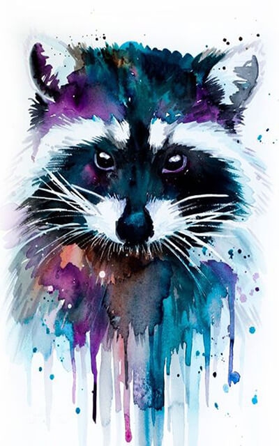 Waschbär