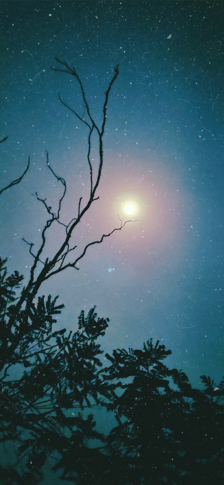 Moon light...