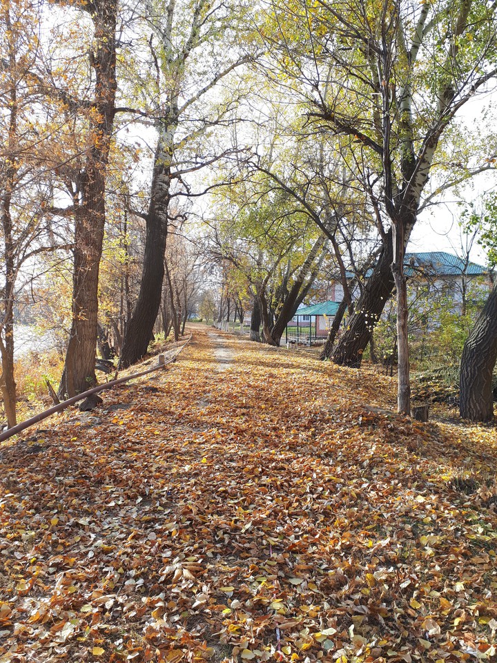 autumn ???