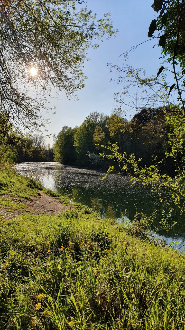 Spring on the riverbend