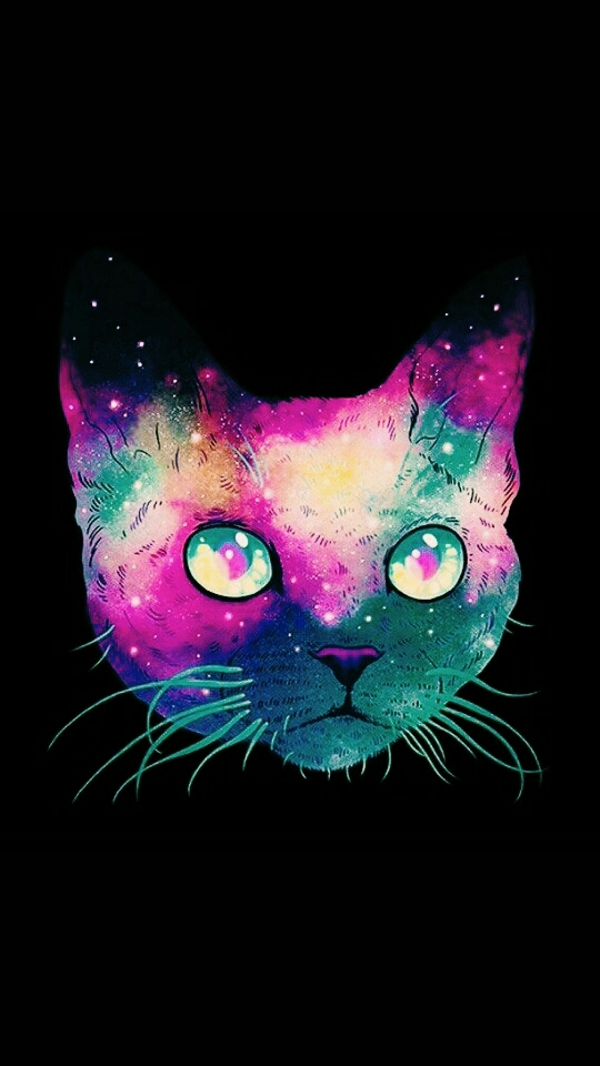 Кот из космоса