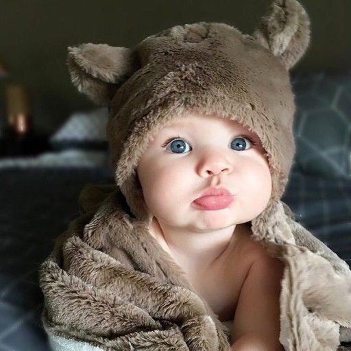 cute bear