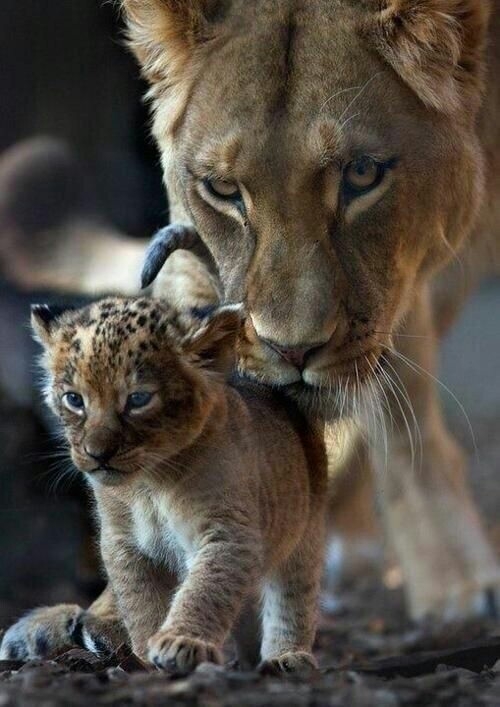 Go on .. I am with you ❤