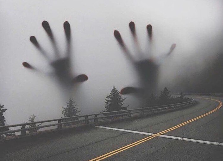 Brouillard ou cauchemar